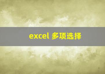 excel 多项选择